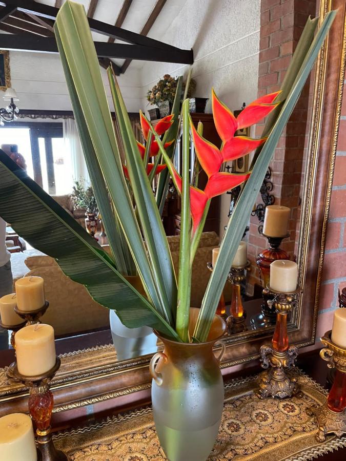 Finca Hotel Villa Camila Копакабана Екстер'єр фото